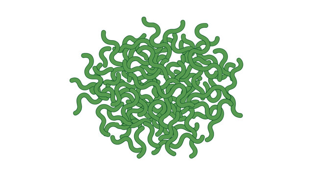 Cluster of green spirilla bacteria, flat design vector illustration isolated on white background