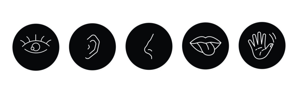 Sensory System Icon Collection &ndash; Human Sense Organs, Facial Features and Touch Gesture Outline Vector Set, EPS 10