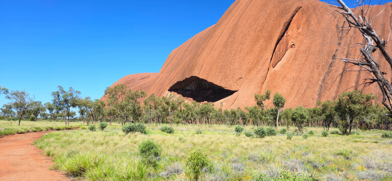 View of Uluru with its iconic red sandstone surface and a large cave formation, set against a clear blue sky with desert scrub in Petermann, Northern Territory, Australia.