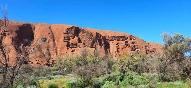 View of the iconic red sandstone rock formation of Uluru, featuring weathered textures and deep crevices, set against a clear blue sky in Petermann, Northern Territory, Australia.
