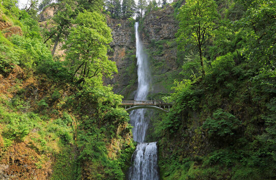 Scenery with Multnomah Falls - Oregon