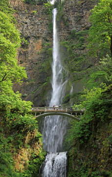 Vertical landscape with Multnomah Falls - Oregon