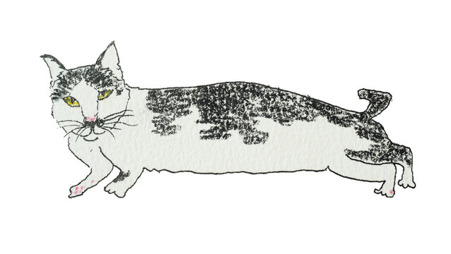 Cute Long Cow Cat Lying Down in Naive Children's Book Hand Drawn Illustration Style