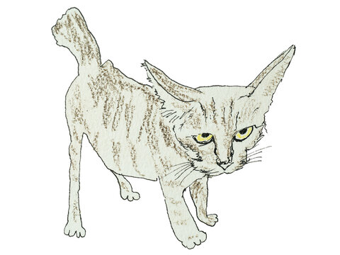 Cute Poor Little Sad Alley Cat in Children's Hand Drawn Illustration Style Isolated on White Background