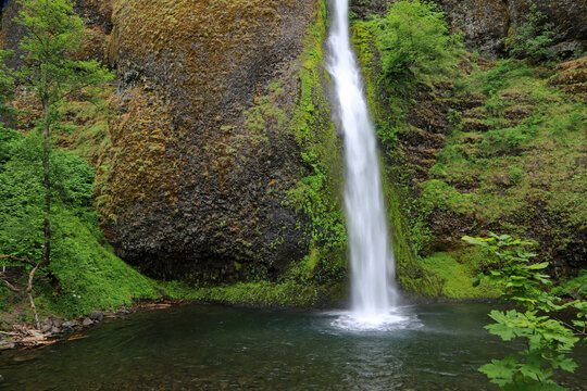 Horsetail Falls - Oregon