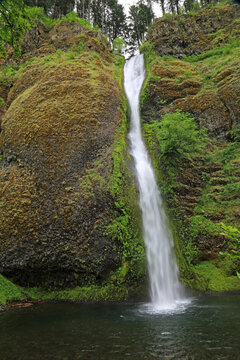 Horsetail Falls vertical - Oregon