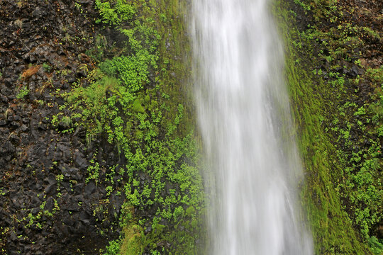 Horsetail Falls close up - Oregon