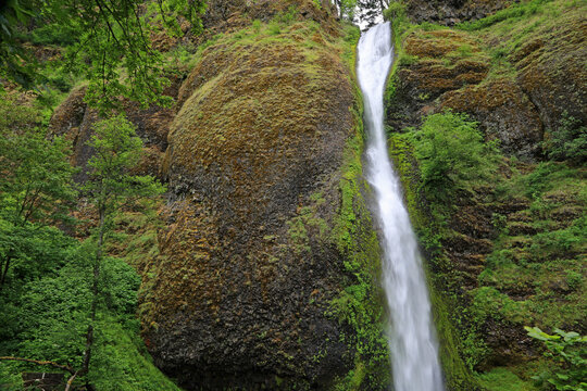 The cliff and Horsetail Falls - Oregon