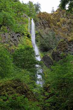 Starvation Falls vertical - Oregon