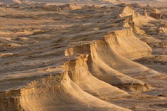 Wind sculpted yardang ridges in pale desert sediment
