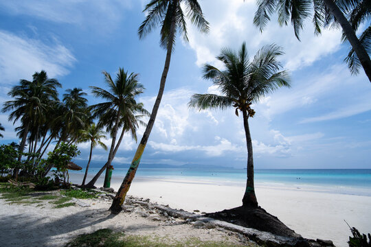 View of Boracay Island with white sand beach, palm trees, and turquoise water in Malay, Western Visayas, Philippines.