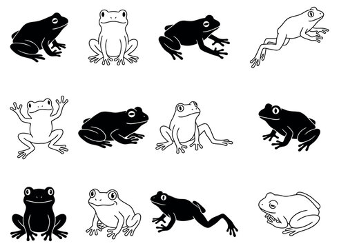 Black and White Frog Silhouette and Outline Collection, Cute Amphibian Poses Vector Illustration