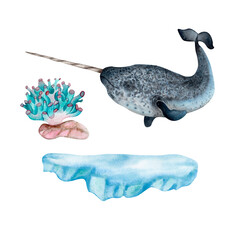 A collection of watercolor illustrations a narwhal, corals, an ice floe, a stone, and pebbles on a white background. Suitable for children’s books, artworks, textiles, greeting cards, stickers © VIKTORIIA