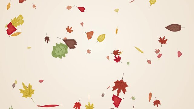 Falling Autumn Leaves Animation for Seasonal Marketing Backgrounds