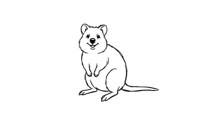 Smiling quokka character sketch showing friendly expression and sitting pose for wildlife education or children's media. © All you need is here