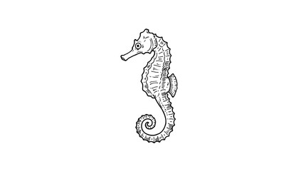 Detailed seahorse engraving illustration with textured scales and curled tail for marine life and nautical theme designs. © All you need is here