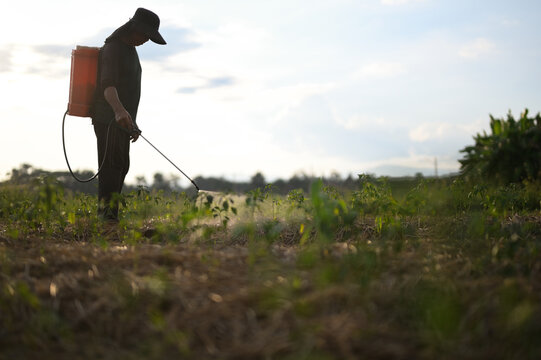 Farmer field agriculture pesticide spray rural silhouette outdoor crop safety hat environment. farmer wearing hat sprays pesticide crops rural field silhouetted against sky emphasizing