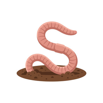 Cute earthworm crawling in soil - vector illustration