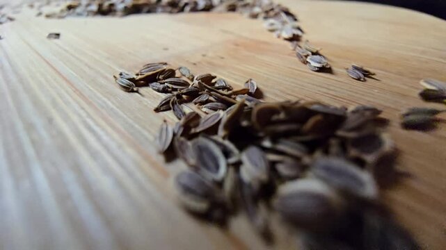 A macro, low-angle tracking shot focusing on dried dill seeds sparsely scattered across a wooden cutting board surface.