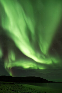 View of the vibrant green aurora borealis illuminating the night sky above the dark coastline and calm waters in Tromso, Norway.