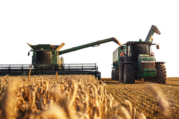 Combine harvester and tractor during harvest on a wheat field isolated from background © photoschmidt
