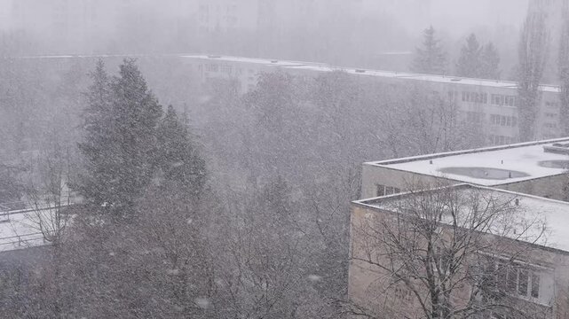 Snowing in winter season. White and Small Snowflakes Falling Down from the Sky in a Cold Winter Day.