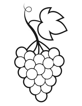 Black and white line art coloring page of a bunch of grapes with a leaf for kids, isolated on white background