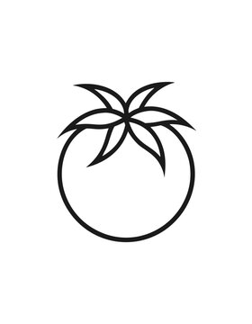 Black and white line art coloring page of a tomato for kids isolated on white background