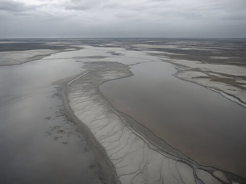 Exposed Tidal Flat with Winding Silvery Water Channels