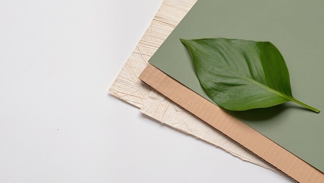 Green leaf on layered natural paper and cardboard surfaces with diagonal geometric arrangement and soft shadows on a neutral background, botanical still life