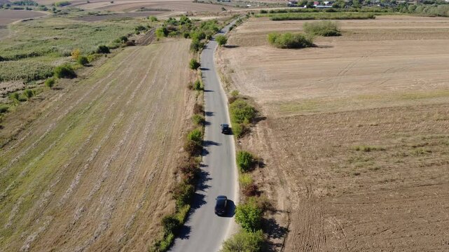Car Traveling on Asphalt Road Crossing Cultivated Farmland Drone Shot. Drone View Car Driving on Road Through Cultivated Fields.