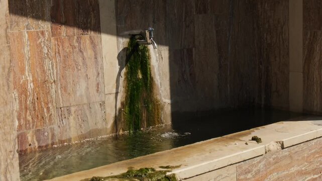 Water flows from a fountain with green algae in a stone setting during daylight