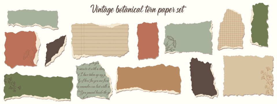 A collection of ripped paper shapes in sage, terracotta, cream, and brown. Perfect for collage designs, journal pages, branding, and website banners.