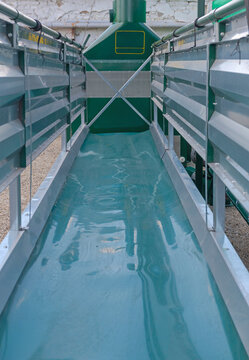 Galvanized Metal Double Sided Lamb Creep Feeder Farm Equipment Interior View