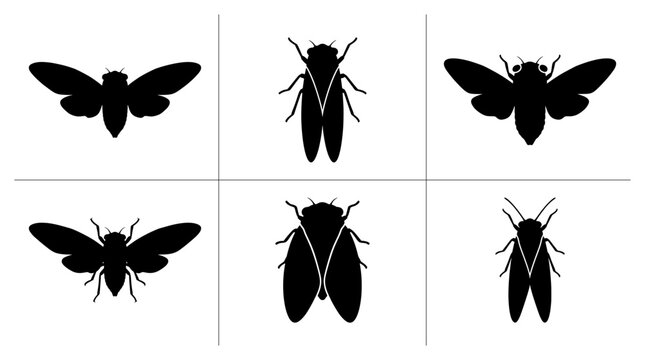 Insect silhouettes set with cicadas and flies for nature logos and signage