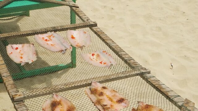Fresh fish fillets seasoned with spices dry on mesh rack under tropical sun over sand in Phu Quoc island, Vietnam. Sun drying is traditional seafood preservation method in Asia