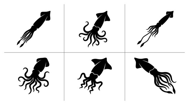 Squid silhouettes set with tentacles and fins, marine life icons for seafood or ocean themes