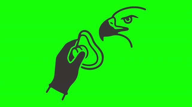 Hand feeding a bird raptor eagle vector line art animation featuring clean outline style isolated on green screen background   