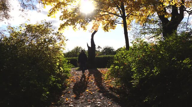 Stockholm, Sweden A man walks through a public park in the golden autumn sunshine. 