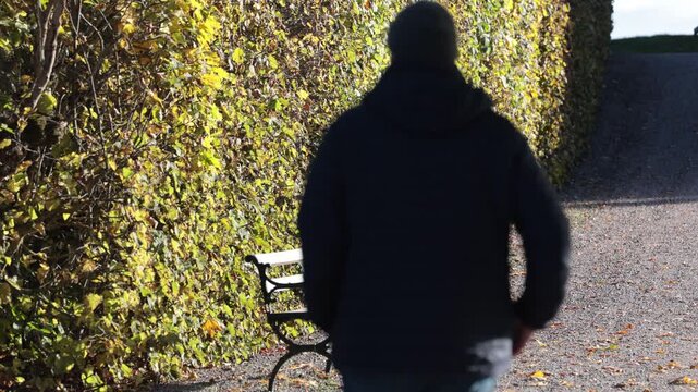 Stockholm, Sweden A man walks through a public park in the golden autumn sunshine. 