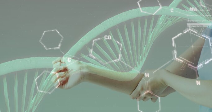 Grasping female forearms and hands holding DNA helix in biomedical graphic CHON labels, copy space