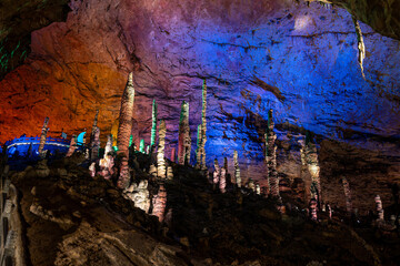 A striking subterranean landscape showcasing a forest of ancient stalagmites rising against a rugged limestone wall, illuminated by vibrant blue and warm orange artificial lights. © Sergej