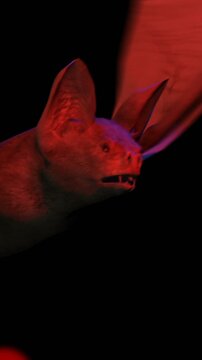 Creepy seamless vertical video of a bat. Halloween terror background 