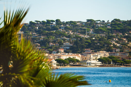 View of the coastal town with Mediterranean sea, palm trees in the foreground, and residential buildings nestled on the hillside in Sainte-Maxime, Provence-Alpes-Cote d'Azur, France.