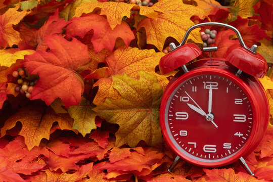 Autumn scene with fall leaves and alarm clock for your autumn message