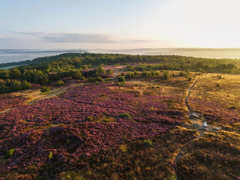 Beautiful drone landscape image over Stanton Moor in Summer Heather sunrise