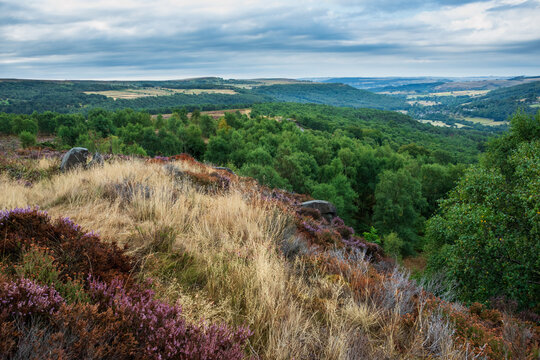 Stunning Peak District landscape from Surprise View with vibrant heather and dappled sunlight over the hills