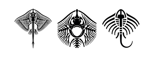 Ray fish skeleton anatomical silhouette icons set, marine animal biology illustration © Lili