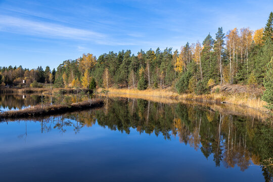 Lake in autumn. Woodland Reflections on a Serene Lake
Mirror Image of Trees on Still Water