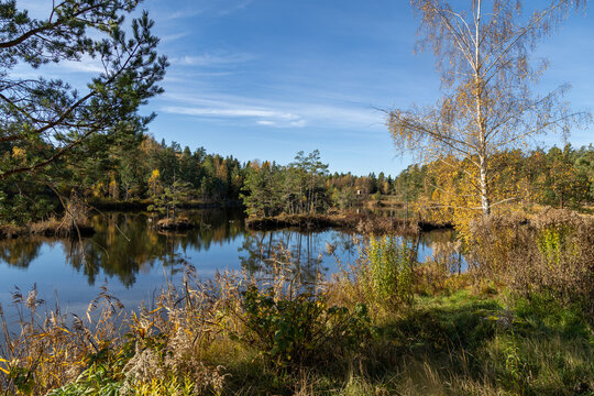 Lake in the forest with blue sky. Mysterious Woodland with Vibrant Autumn Colors